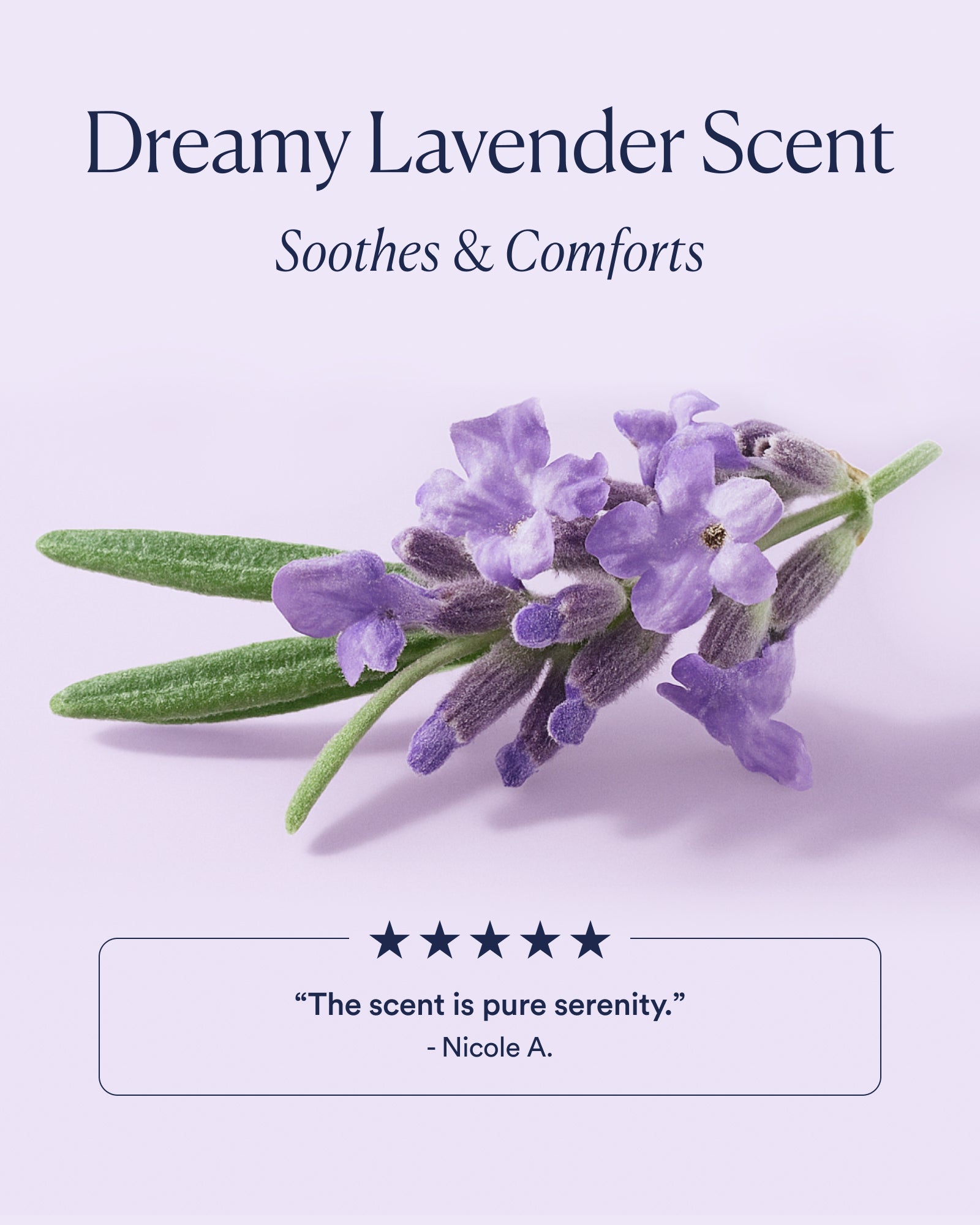5-DREAM-TRIO-DTC_SCENT_1600x2000_daa15955-d8f3-4857-8cb9-7cf4609f8e32.jpg