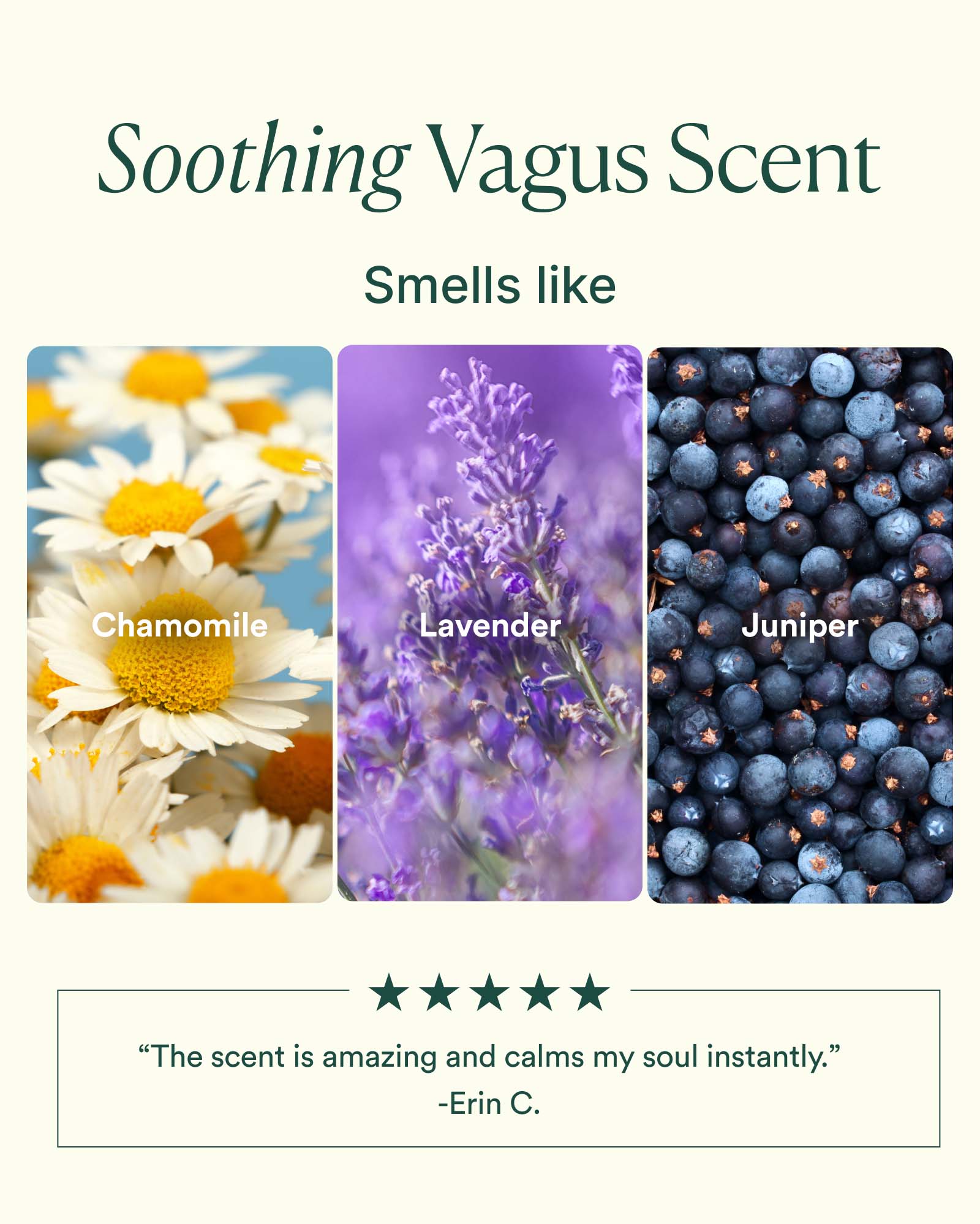 5-VPS_PDP_SCENT_1600x2000_1bc72449-6288-4cd5-91ee-09876fbb6ec9.jpg