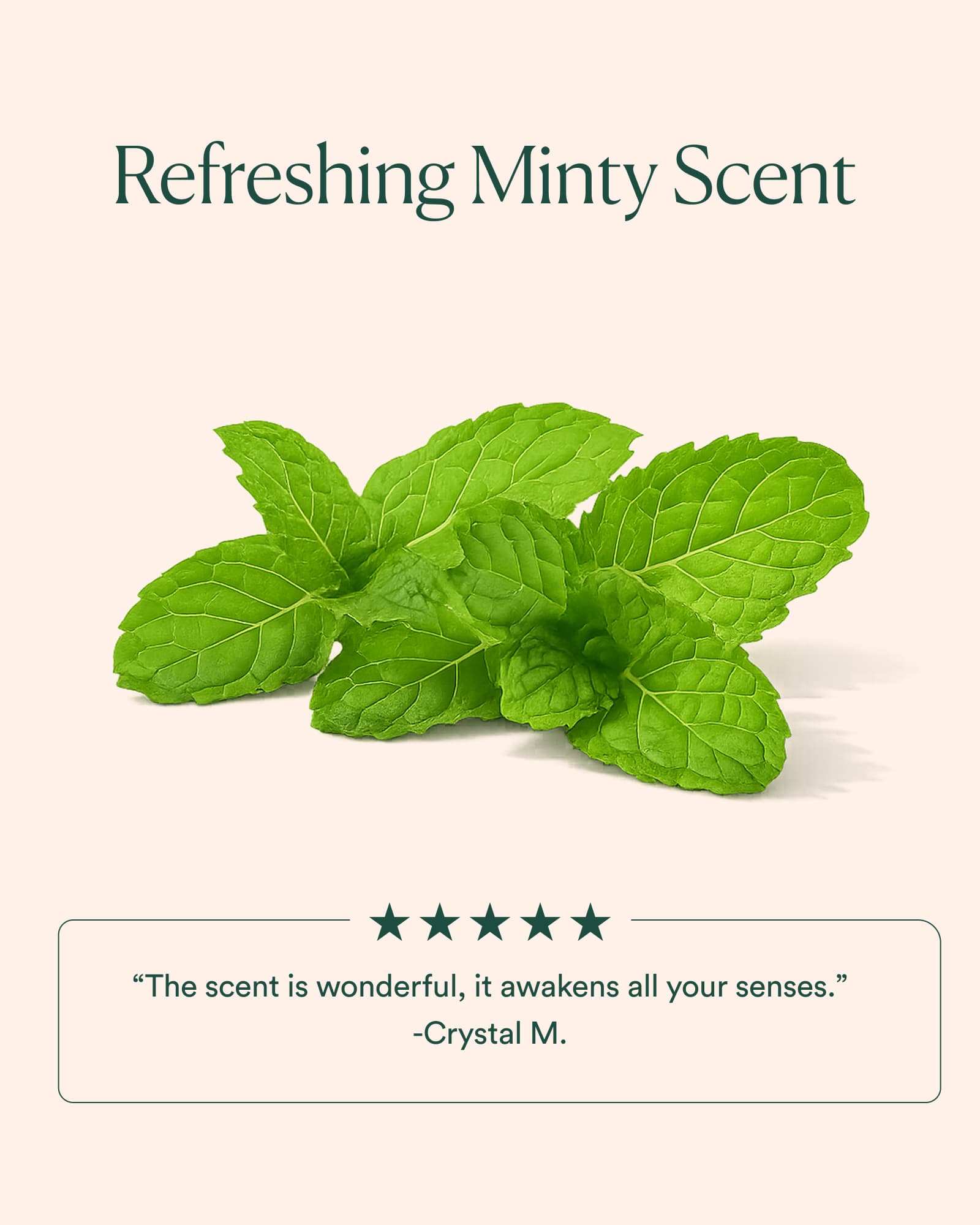 6-OCM_PDP_SCENT_1600x2000_212d8009-212b-4954-bf14-fe12f4471553.jpg