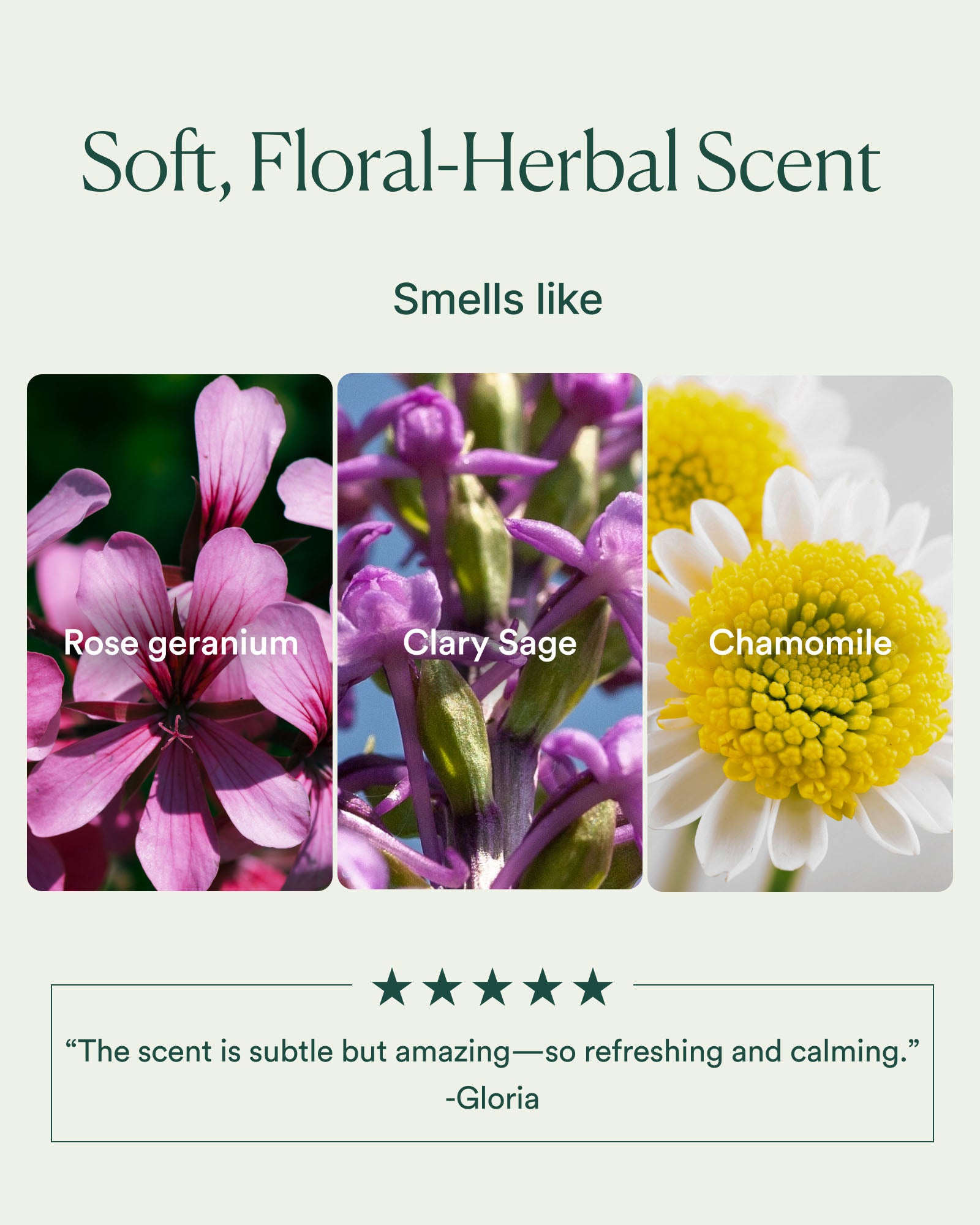 7-APC_PDP_SCENT_1600x2000_b2571ed2-41b9-4a58-ab47-01172ce9326e.jpg