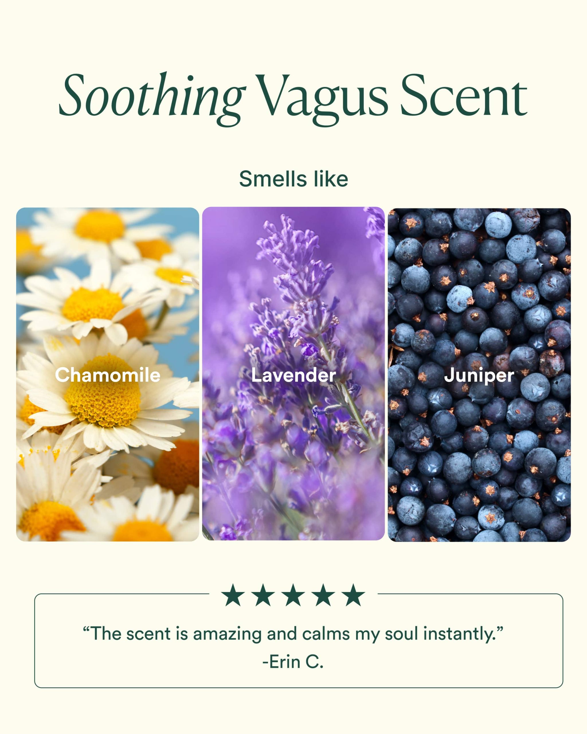 7-VN-TRIO_PDP_SCENT_1600x2000_ce53dcfe-ab1d-4de2-ae5b-c70101308e69-scaled-1.jpg