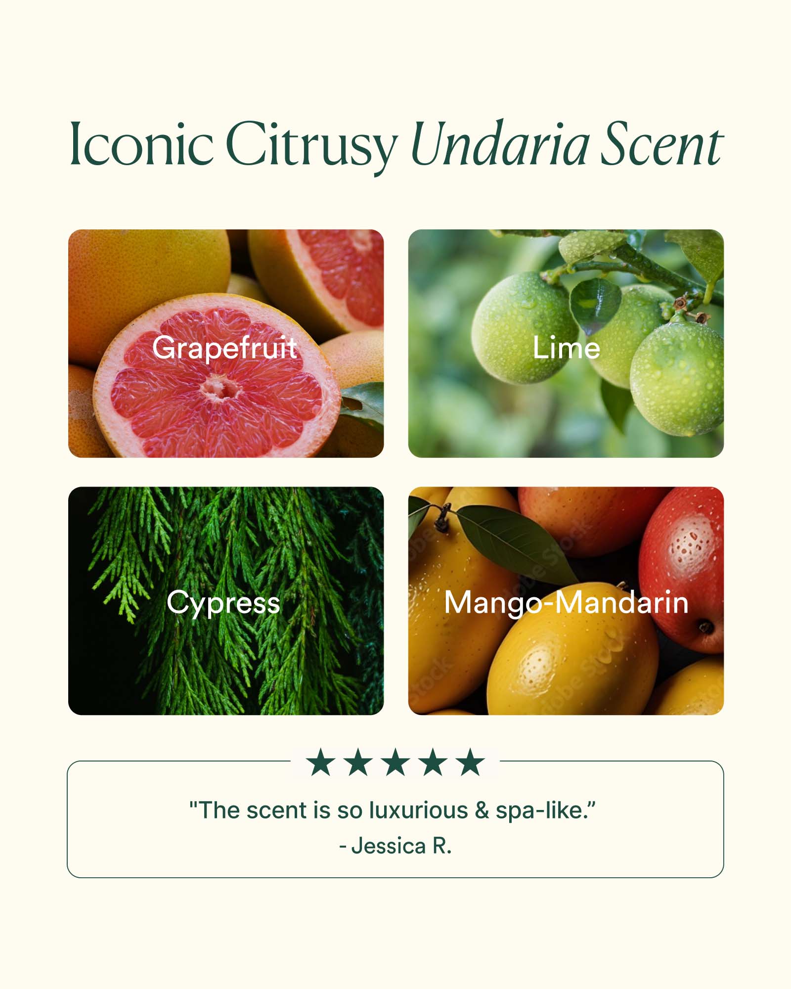 UABB_PDP_SCENT_1600x2000_0fcc4341-1e76-40e9-a117-9ca79ad989f9.jpg