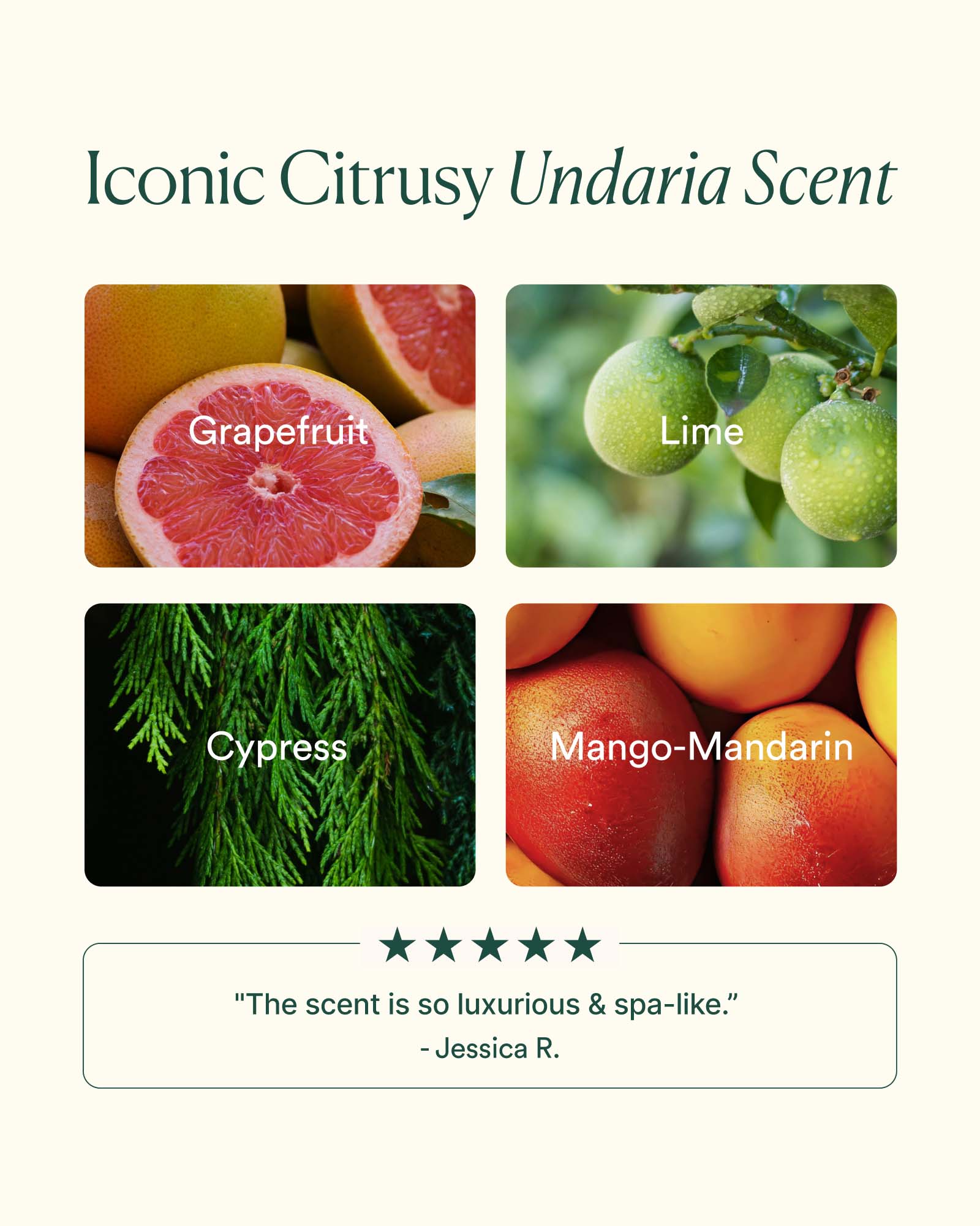 UAO_PDP_SCENT_1600x2000_UPDATED.jpg
