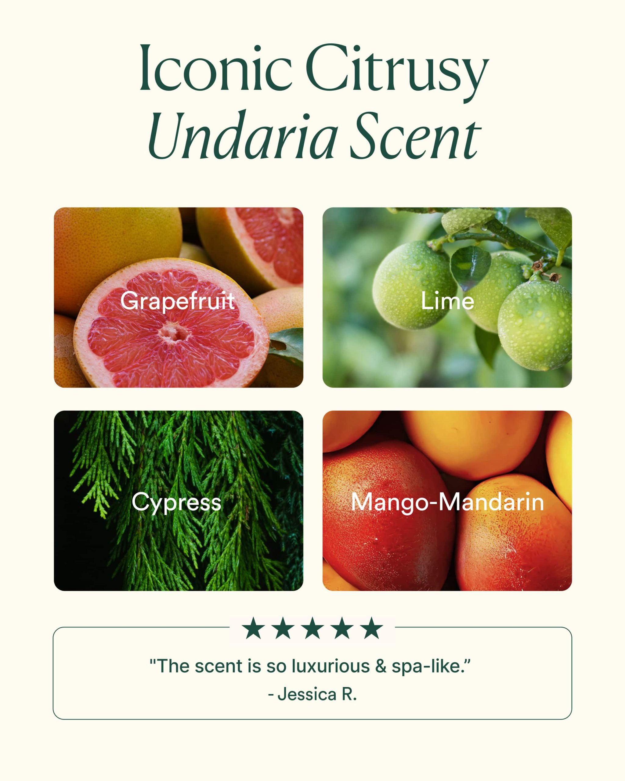 UAO_PDP_SCENT_1600x2000_UPDATED_e96ff9c5-6fe3-48e2-914f-eed17c18f8de-scaled-1.jpg